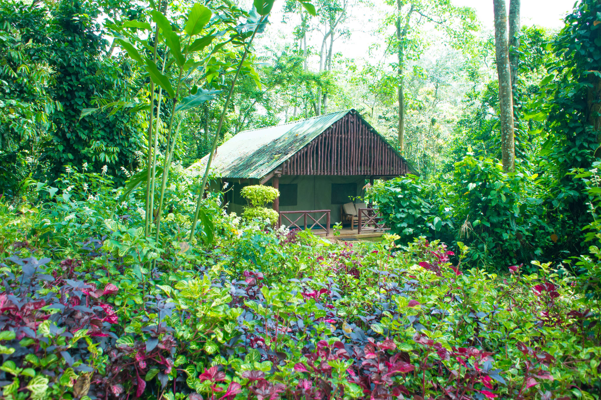 Kibale Forest Camp