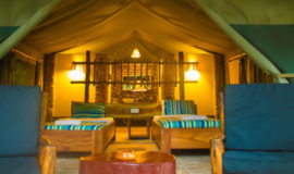 Kibale Forest Camp