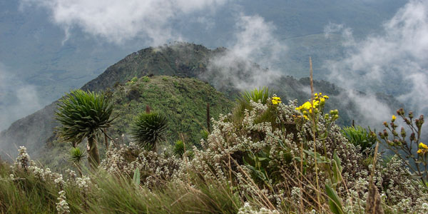 View from Peak 3