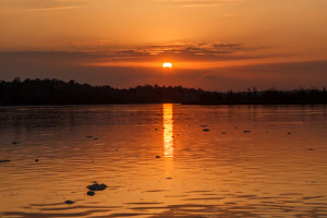 Dagomschrijvingen-3 Days Murchison Falls-Overview-450x300px_6912