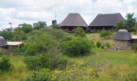 Kidepo Savannah Lodge