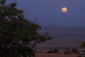 Kidepo Savanna Lodge