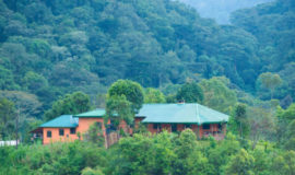 Gorilla Valley Lodge