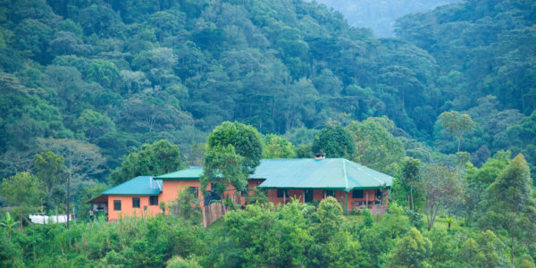 Gorilla Valley Lodge